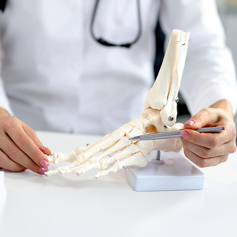 ortopedia-especialidades-hospital-recoletas-salud-marbella