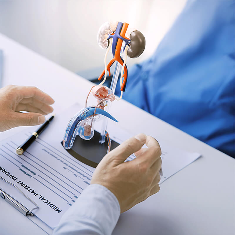 urologia-hospital-recolestas-salud-marbella